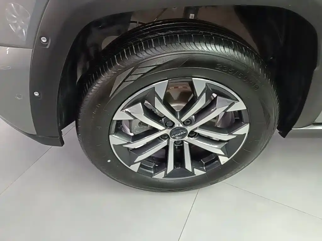Haval Big Dog PLUS — миниатюра 23