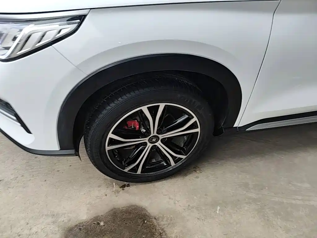 BYD PLUS — миниатюра 23