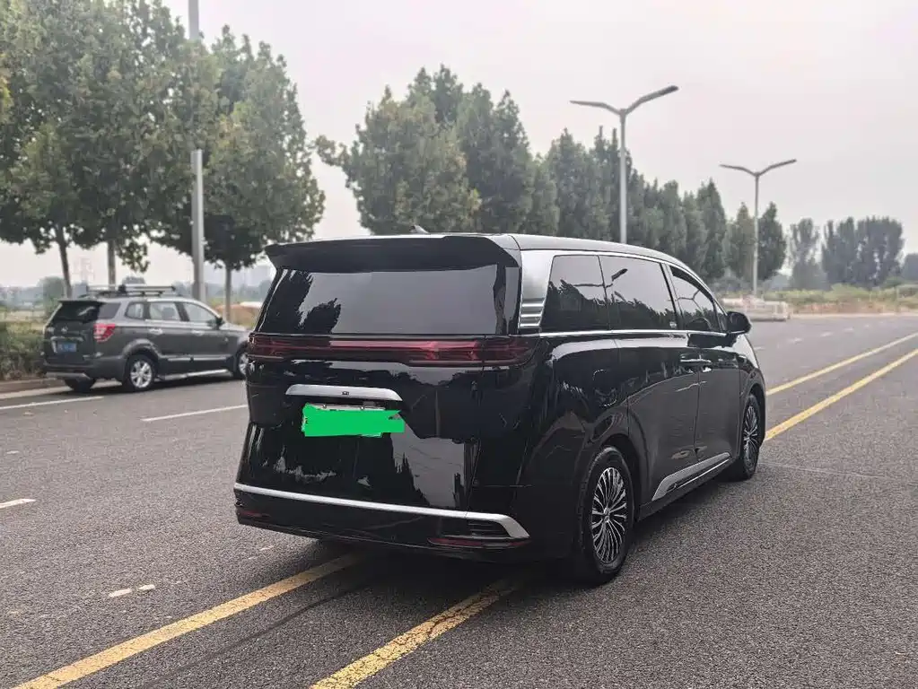 Denza Denza D9 — миниатюра 9
