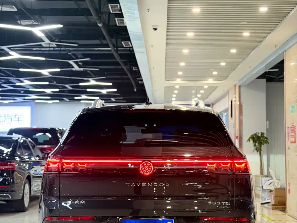 Volkswagen Tavendor — миниатюра 4