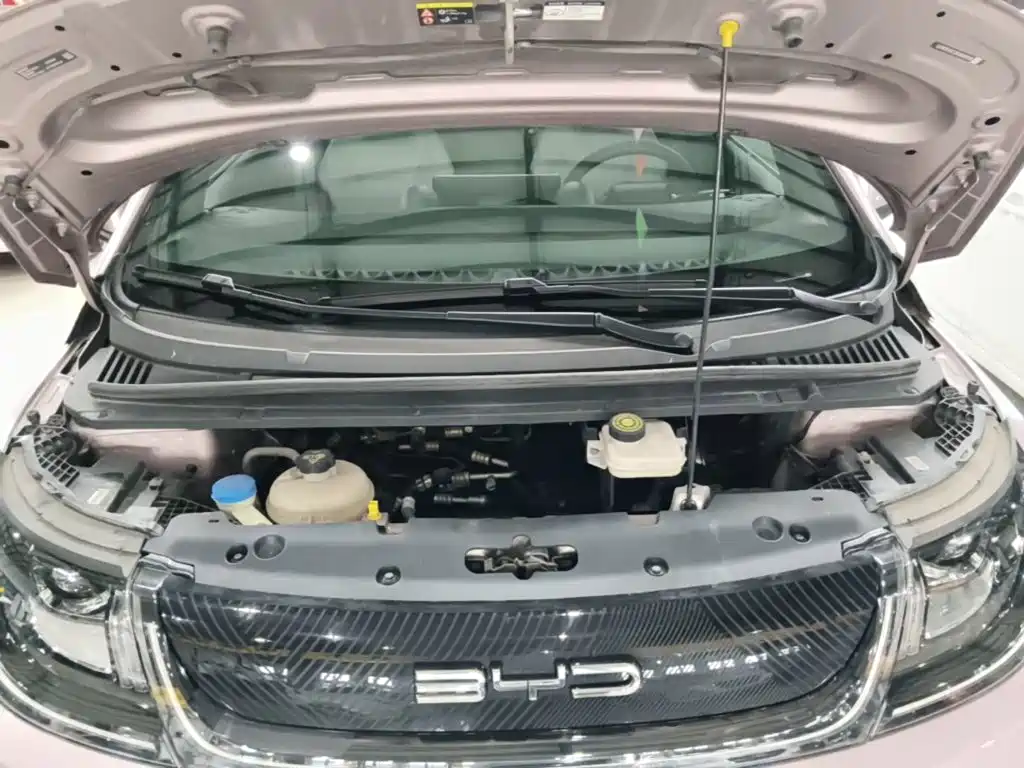 BYD Dolphin — миниатюра 20