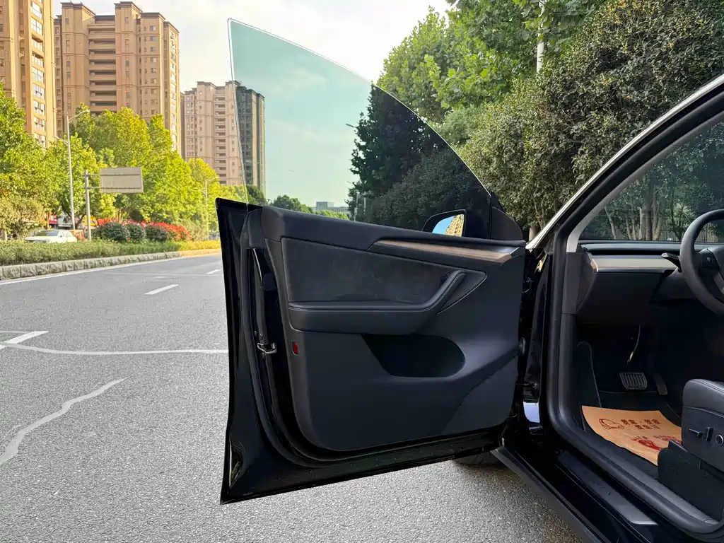 Tesla Model Y — миниатюра 6