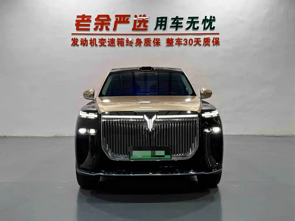 VOYAH Taishan