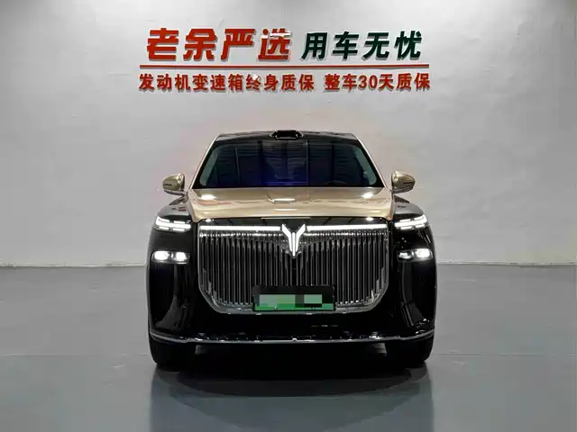 VOYAH Taishan