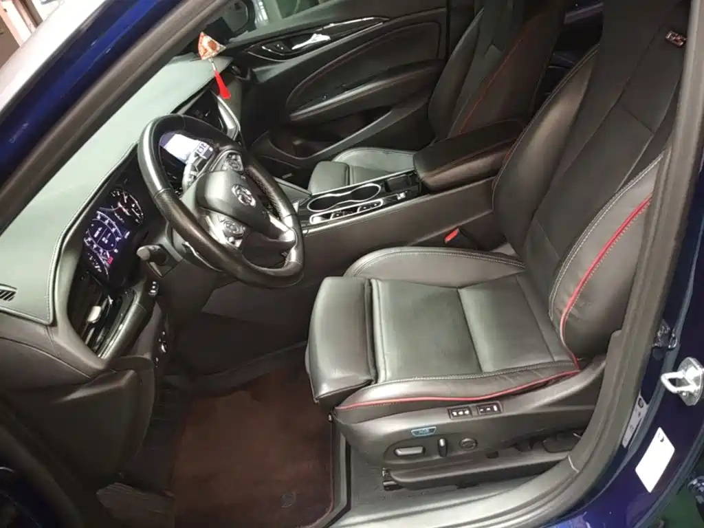 Buick Regal — миниатюра 15