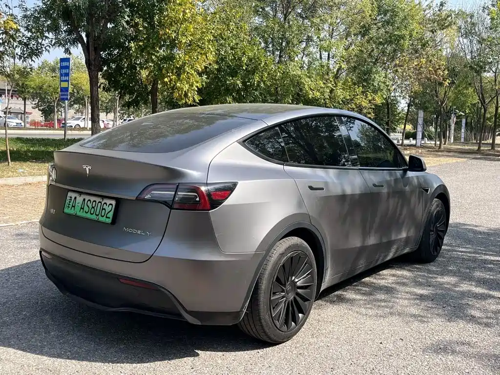 Tesla Model Y — миниатюра 3
