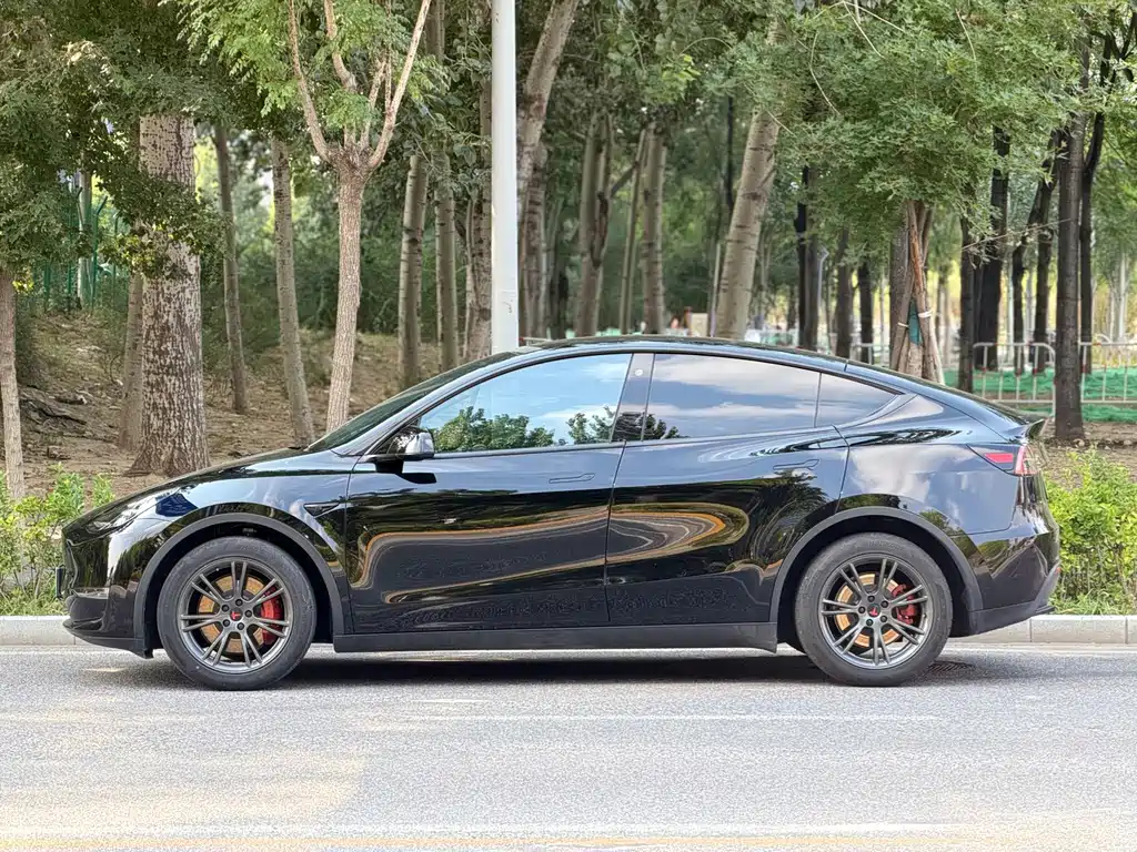 Tesla Model Y — миниатюра 3