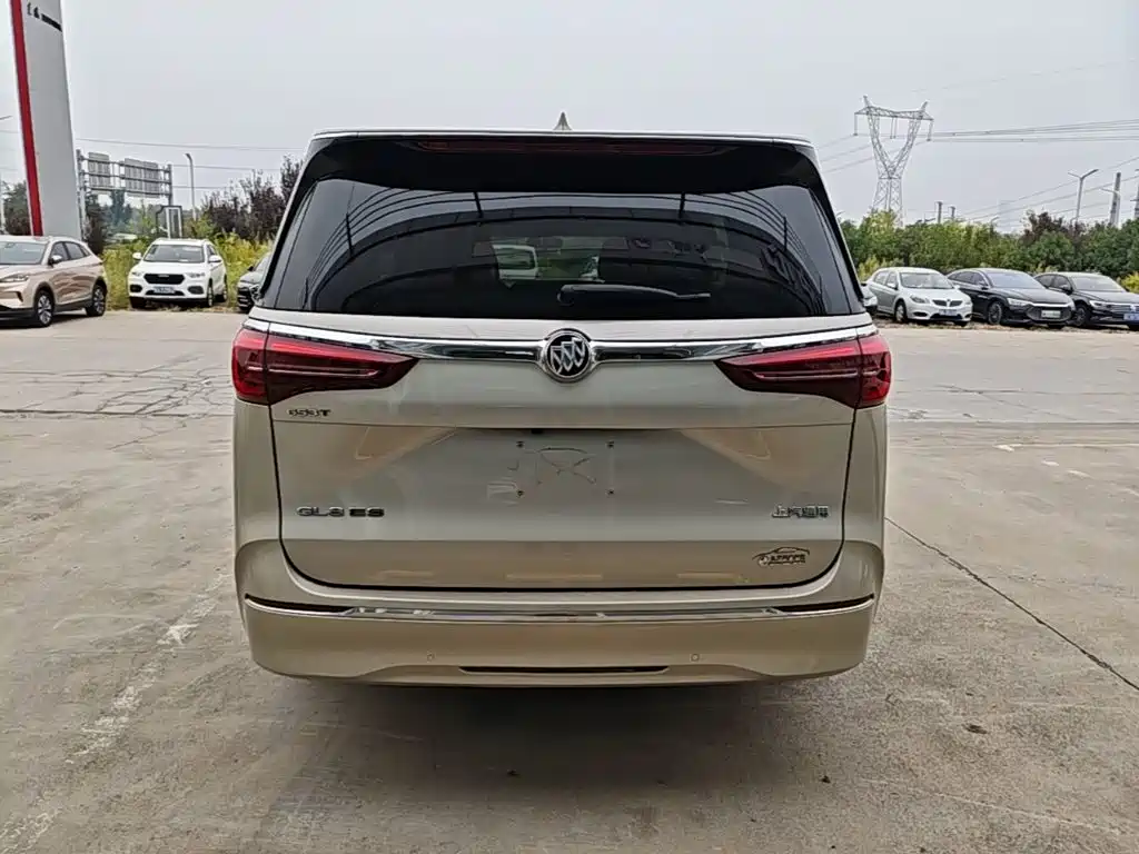Buick GL8 — миниатюра 6