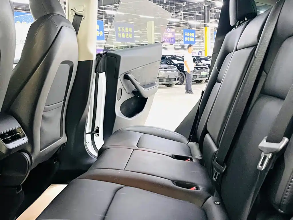 Tesla Model Y — миниатюра 9