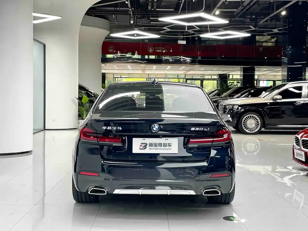 BMW 5 Series — миниатюра 16