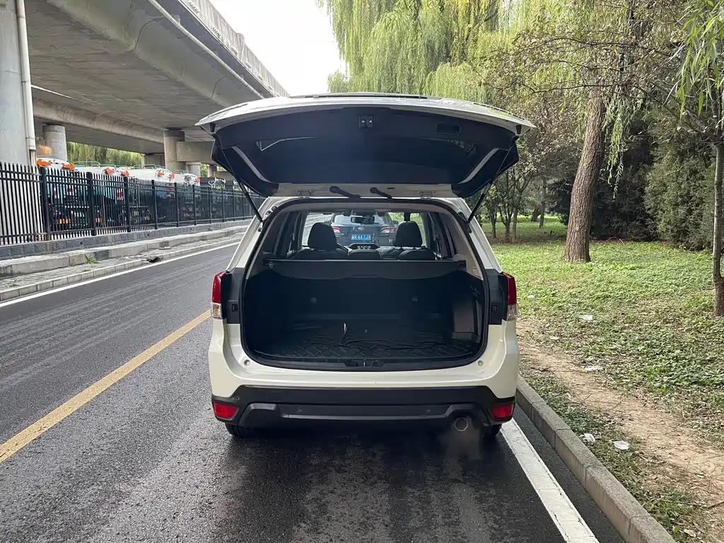 Subaru Forester — миниатюра 14