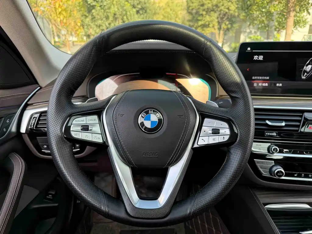 BMW 5 SERIES