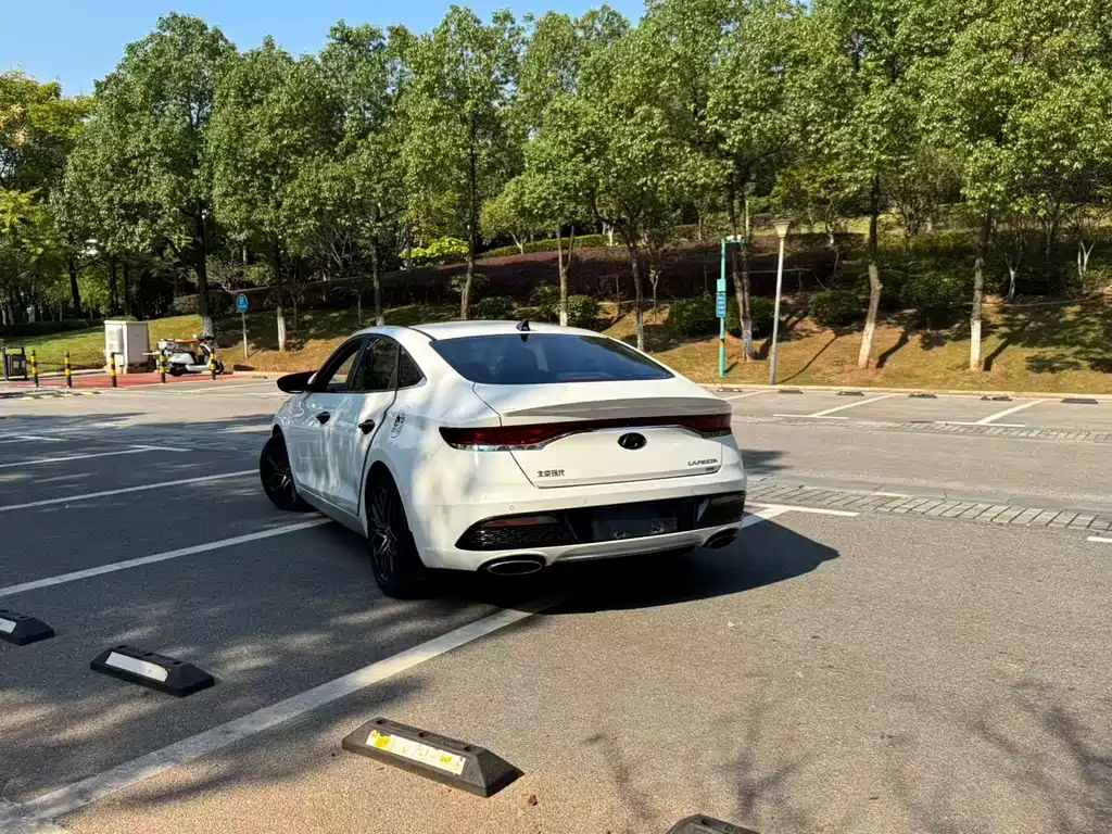 Hyundai Fista — миниатюра 8