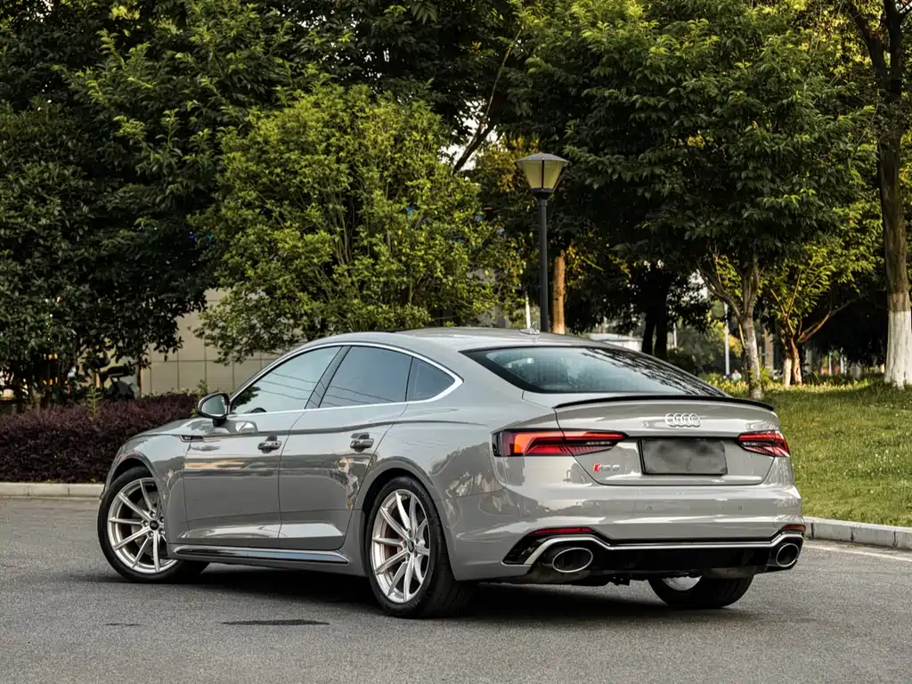 Audi RS 5 2019 RS 5 2.9T Sportback