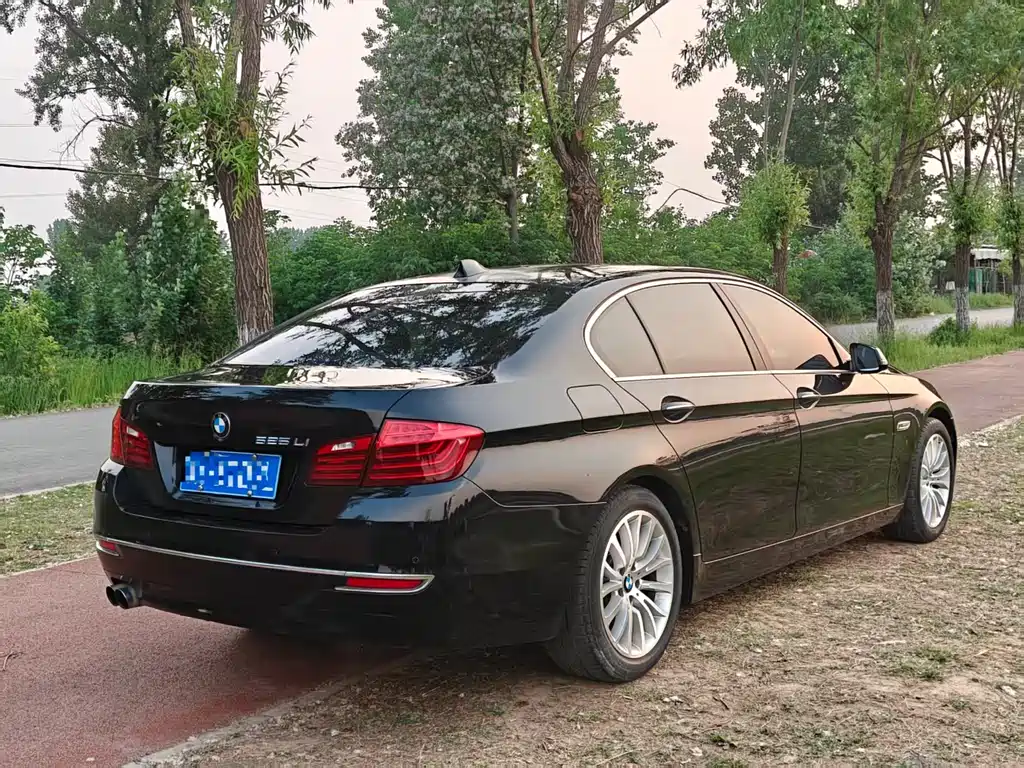 BMW 5 Series 5 2017 525Li Luxury