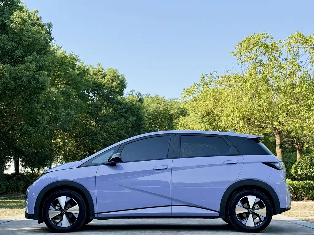 BYD Dolphin — миниатюра 4