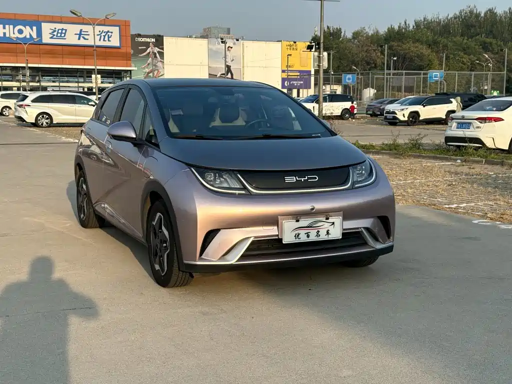 BYD Dolphin — миниатюра 3