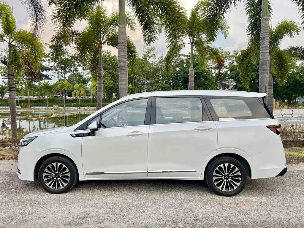 Wuling Jiachen — миниатюра 4