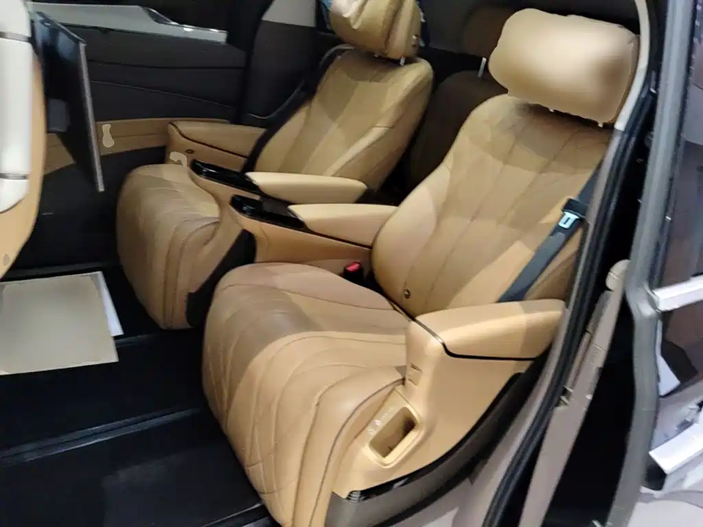 Denza Denza D9 — миниатюра 17