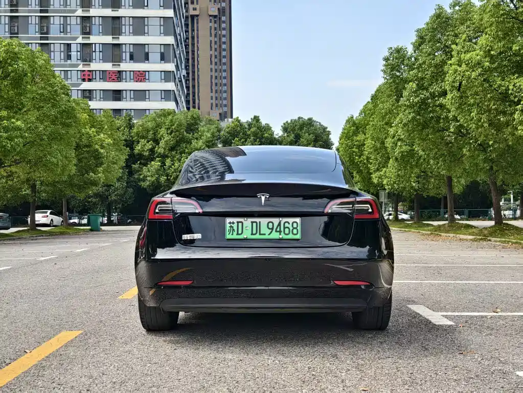 Tesla Model 3 — миниатюра 8