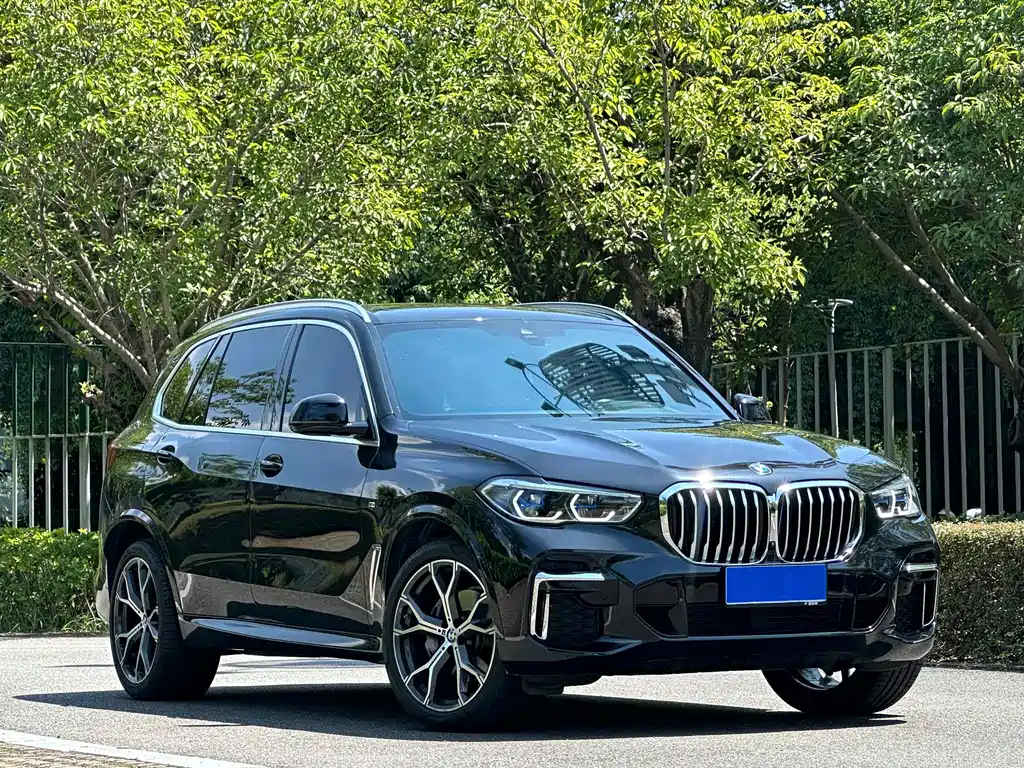 BMW X5 — миниатюра 3