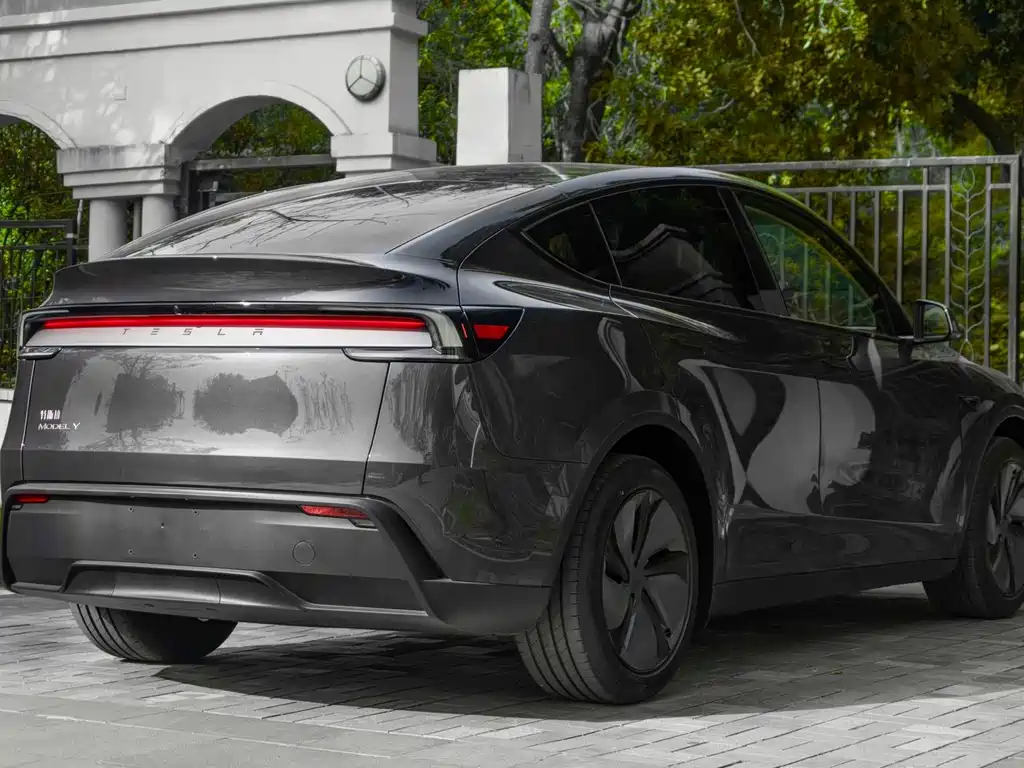 Tesla Model Y — миниатюра 4