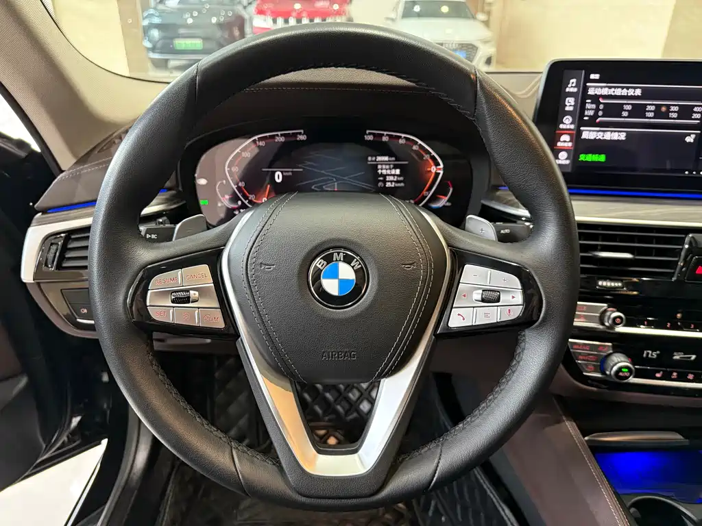 BMW 5 Series 5 2023 530Li Lead Luxury