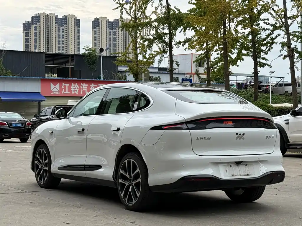 IM IM LS6 — миниатюра 6