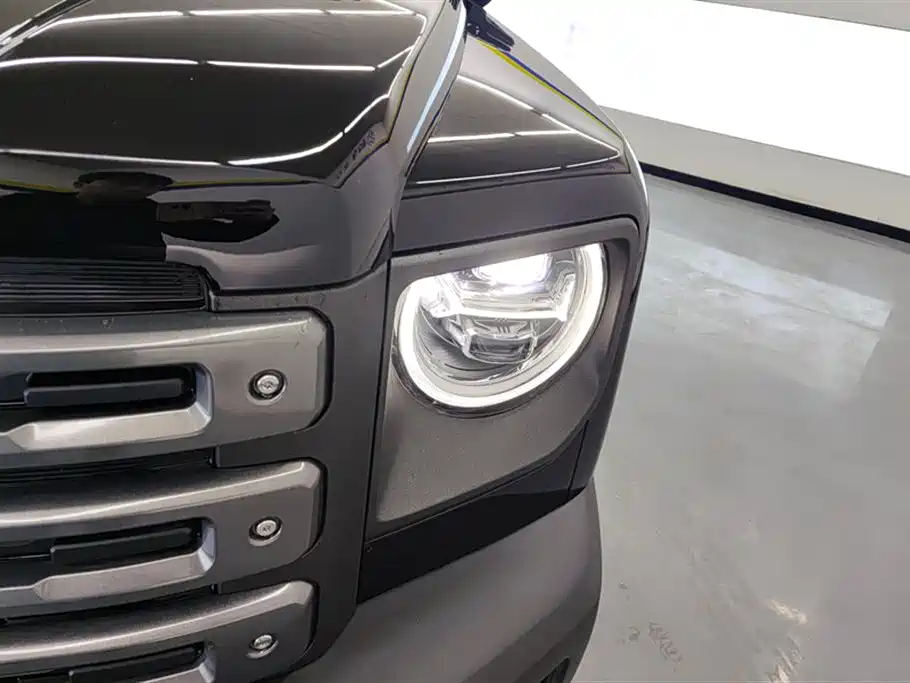 HAVAL RAPTORS NEW ENERGY