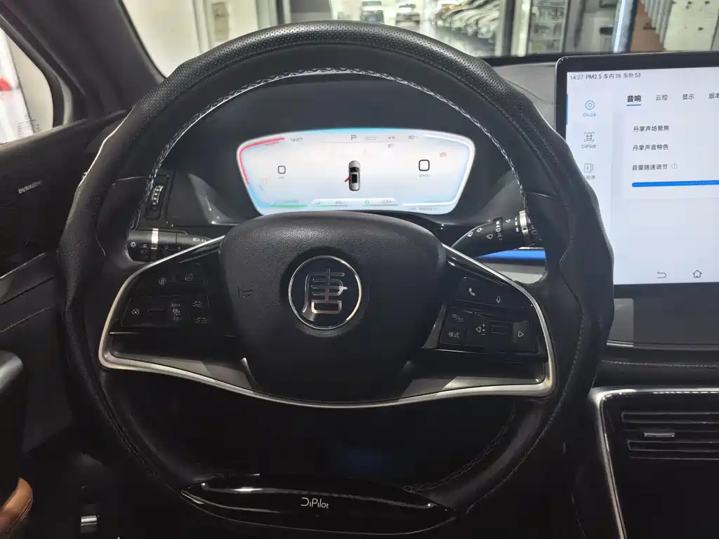 BYD Tang New Energy — миниатюра 9