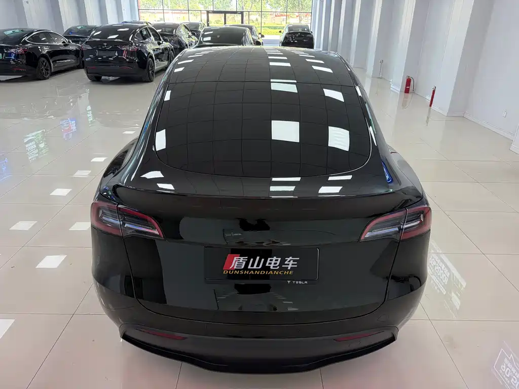 Tesla Model Y — миниатюра 5