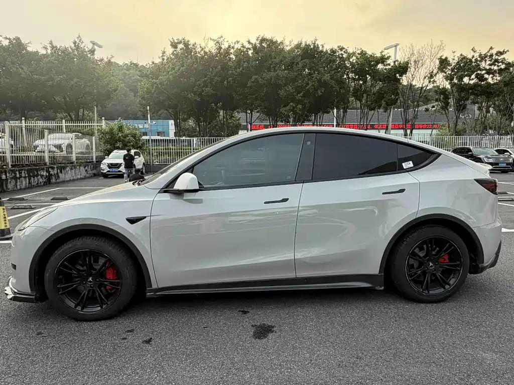 Tesla Model Y — миниатюра 4