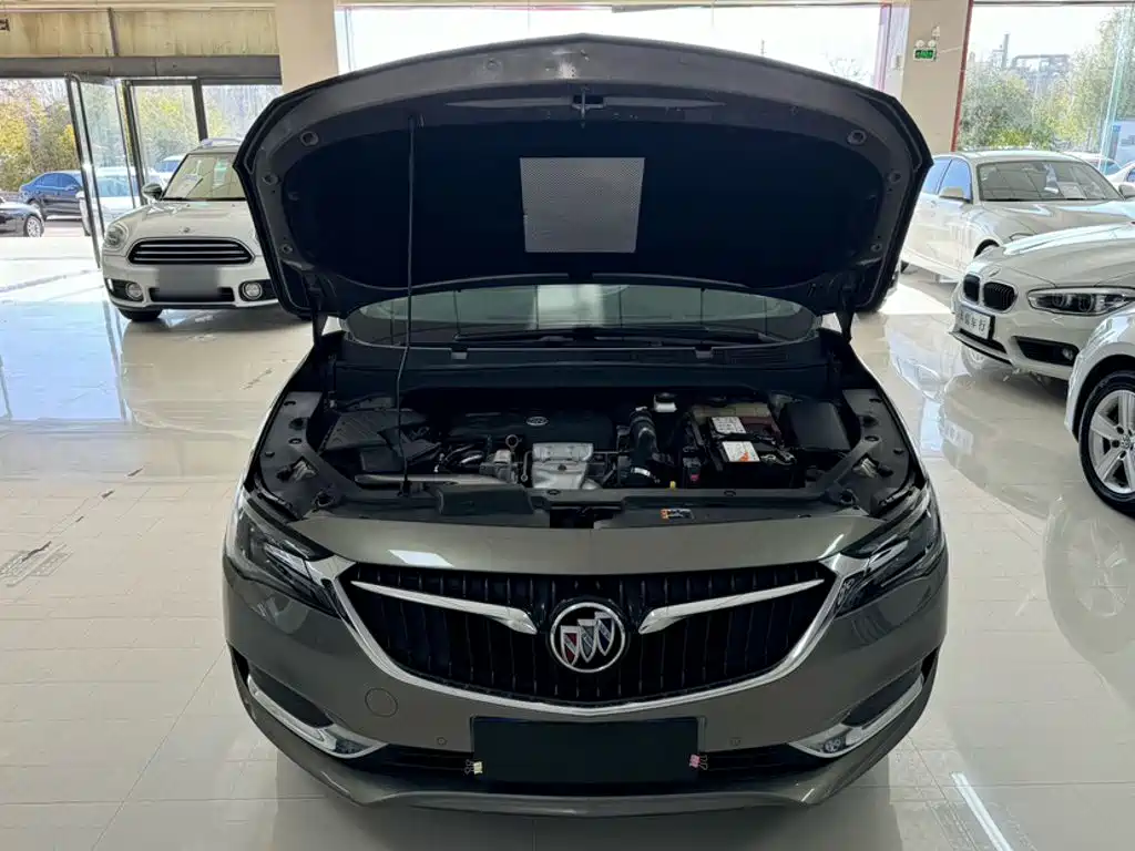 Buick GL6 — миниатюра 24
