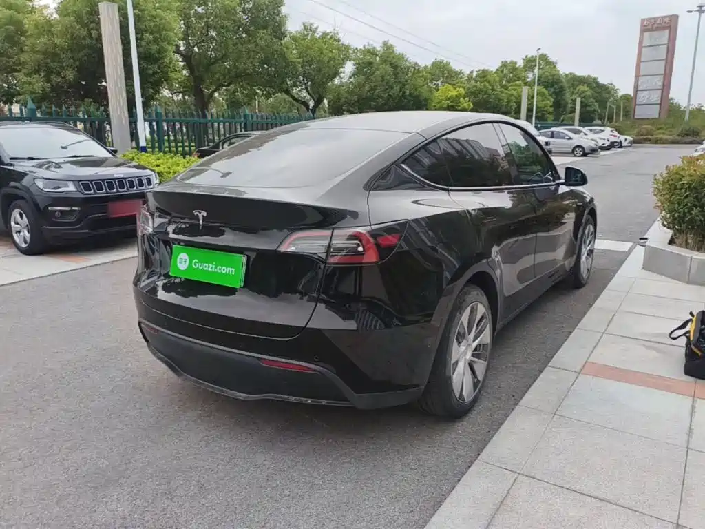 Tesla Model Y — миниатюра 7