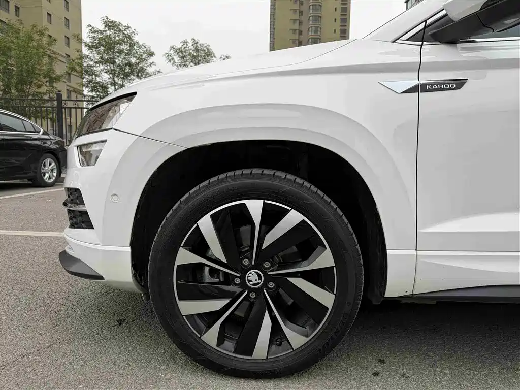 Skoda Karoq - фото 14