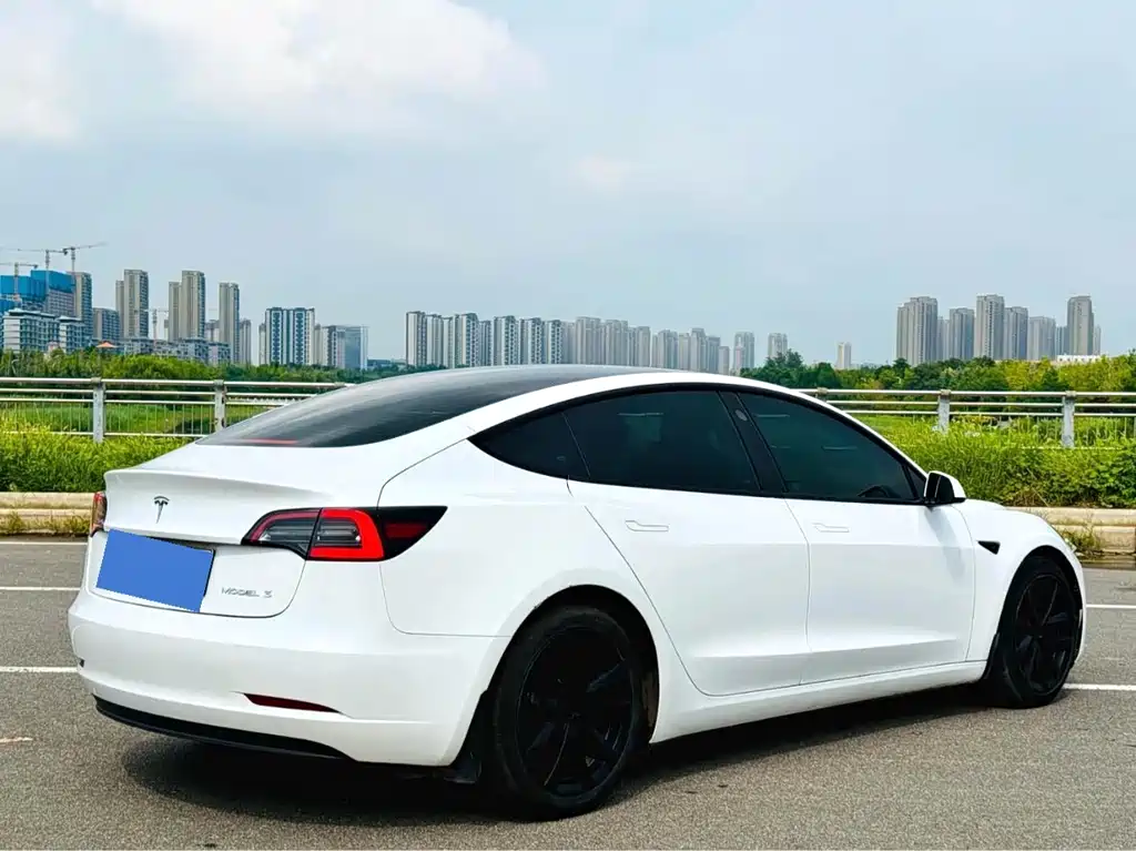 Tesla Model 3 — миниатюра 8