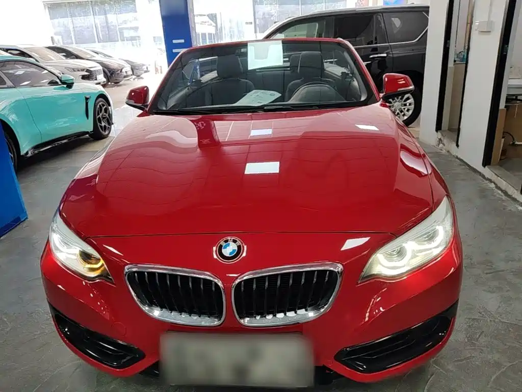 BMW 2 Series (Import) — миниатюра 3