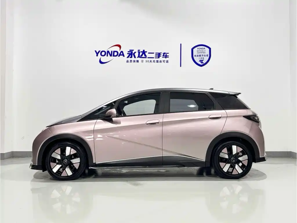 BYD Dolphin — миниатюра 5