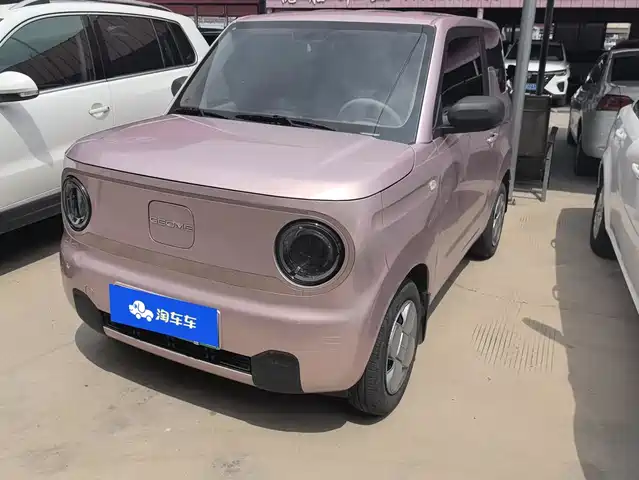 2024 Geely LC (Panda)