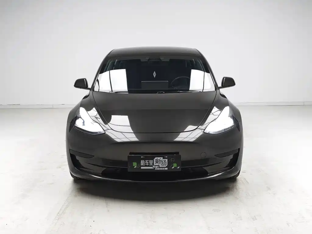 Tesla Model 3 — миниатюра 2