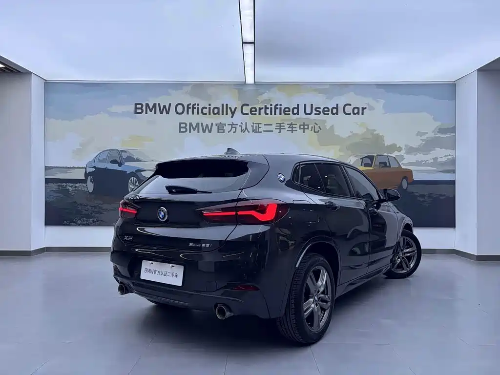 BMW X2 sDrive25i Leading Type M Offroad Package, фото 5