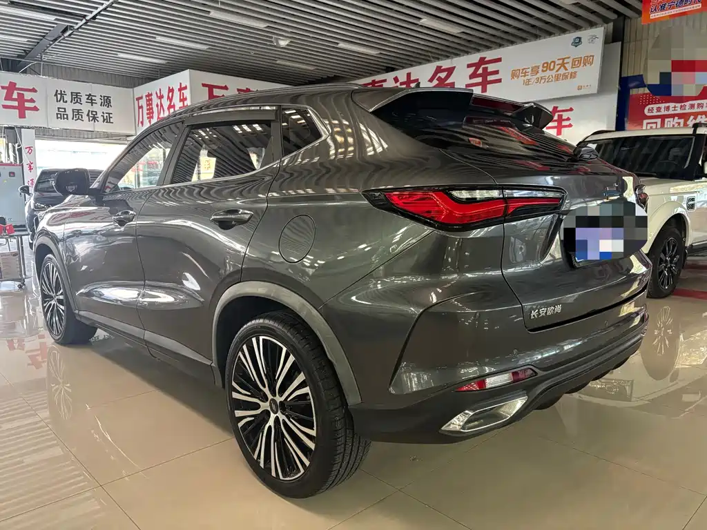 Oshan Oushang X5 — миниатюра 3