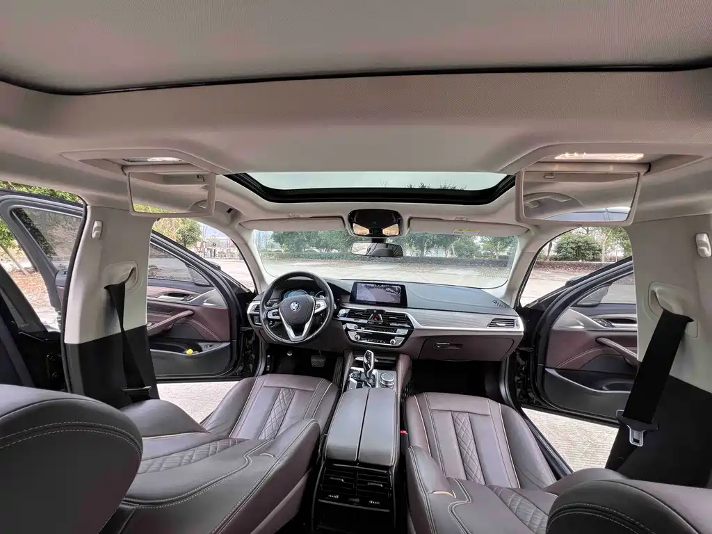 BMW 5 Series 5 2019 530Li Lead Luxury