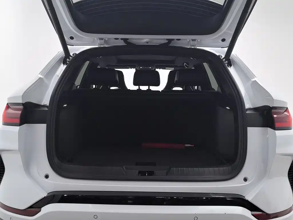 BYD PLUS New Energy — миниатюра 16