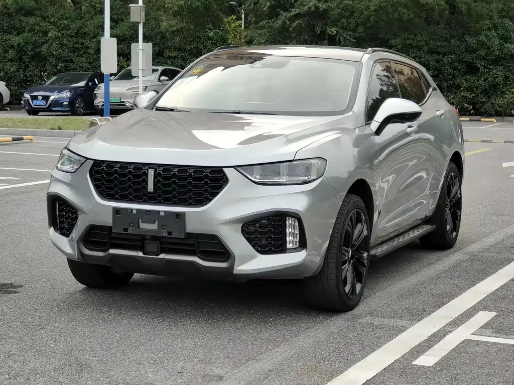 Купить Wey Wey VV5