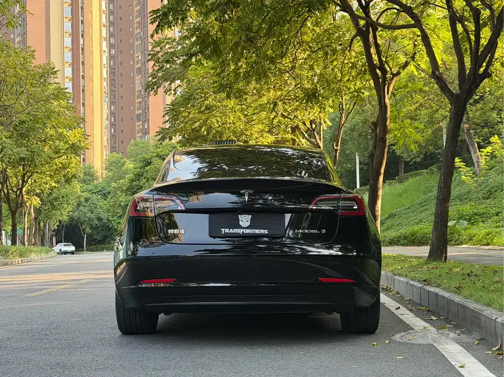 Tesla Model 3 — миниатюра 5