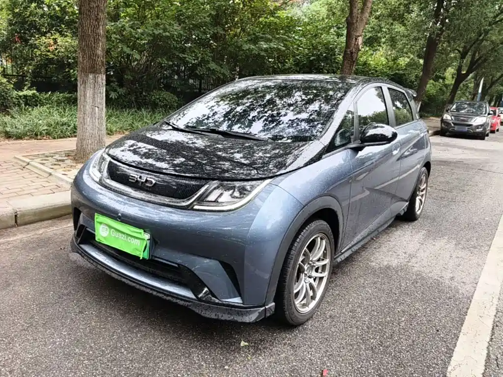 BYD Dolphin — миниатюра 2
