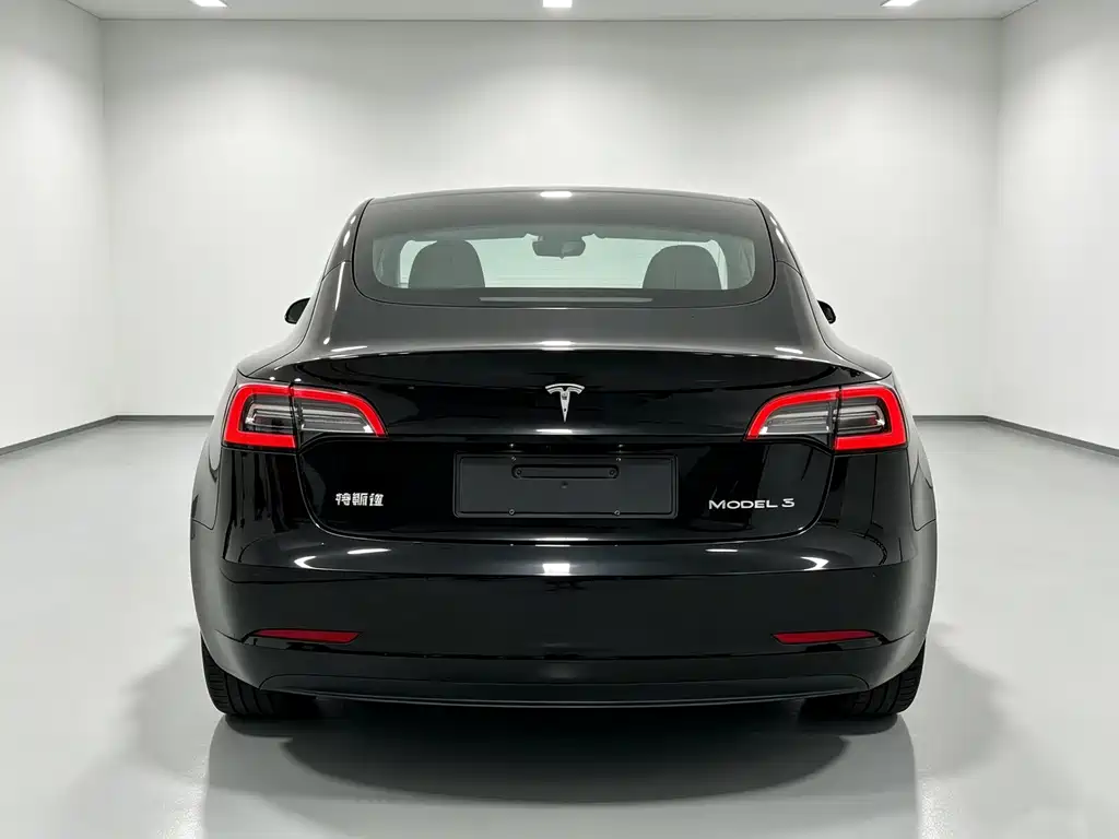 Tesla Model 3 — миниатюра 5