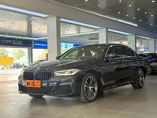 BMW 5 SERIES
