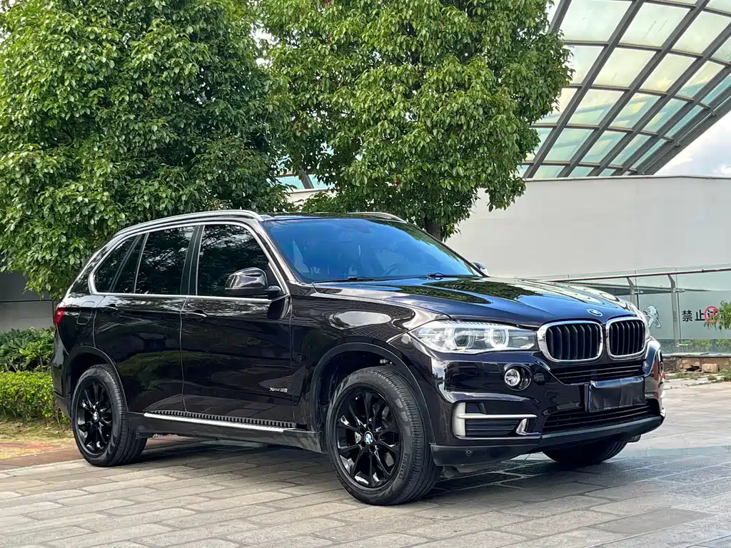 BMW X5 (Import) — миниатюра 3